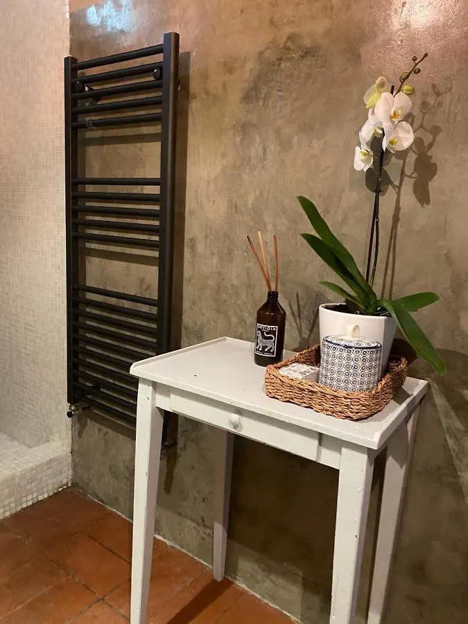 Holiday home Typical Tuscan Barn With Private Pool Villa San Casciano in Val di Pesa