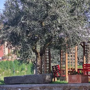 Il Pintello San Casciano in Val di Pesa